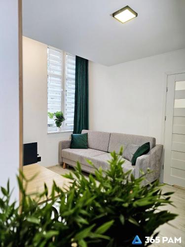 365PAM - Studio Bajka 50m od plaży w centrum Mielna