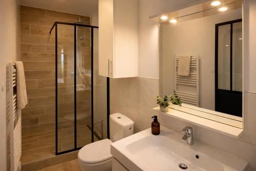 a bathroom with a toilet and a sink and a shower at Appartements à Oloron in Oloron-Sainte-Marie