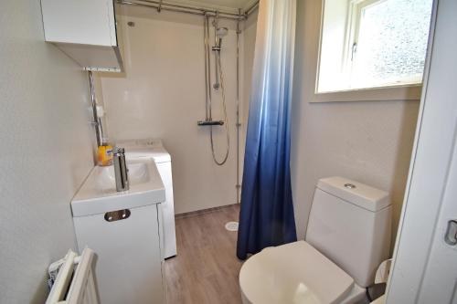 a bathroom with a toilet and a sink and a shower at "Lönnebo" in Lönneberga