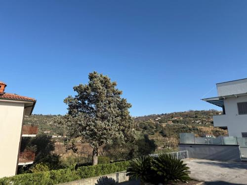 a tree in front of a building with a hill in the background at APARTMENTS EDWINA in Portorož