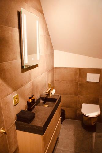 a bathroom with a sink and a toilet at Herberg De Hollandsche Leeuw in Nieuwkoop