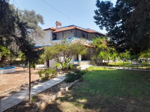 Diotima Rhodos Experience