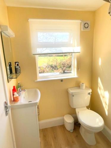 a bathroom with a toilet and a sink and a window at La Mer self-catering in Sark