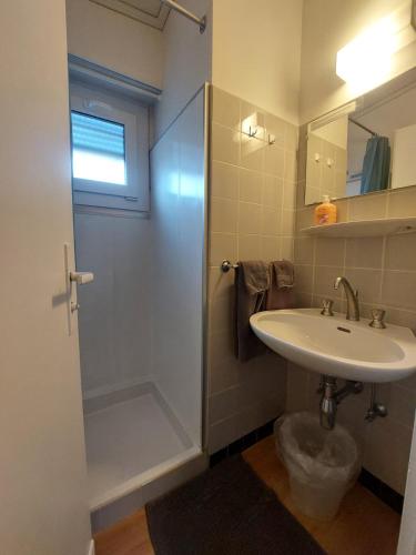 a bathroom with a sink and a shower at Hôtel Garni Inter-Alp in Saint-Maurice