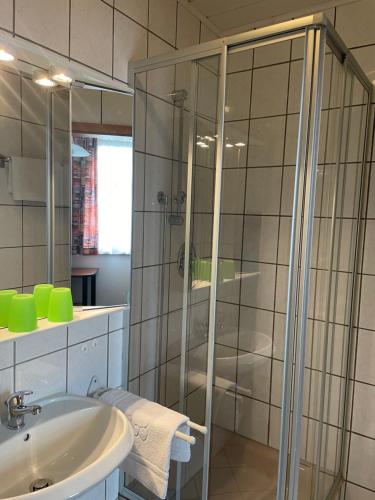 a bathroom with a glass shower and a sink at Schwarzer Adler in Streitberg