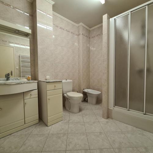 a bathroom with a toilet and a sink and a shower at Vintage House in Ambérieu-en-Bugey