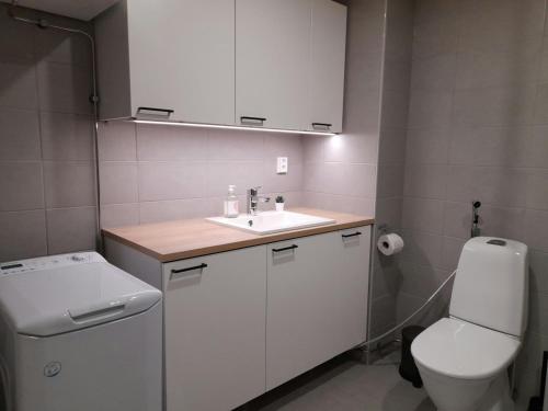 a bathroom with a white sink and a toilet at Spacious Apartment for 4 with Sauna in Oulu