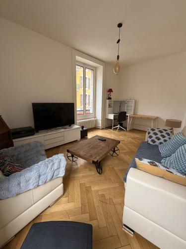 Appartement rhône - centre