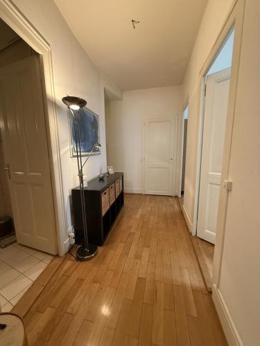 Appartement rhône - centre