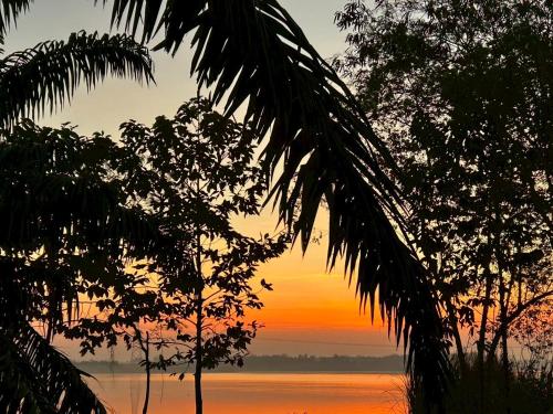 a sunset seen through the leaves of a palm tree at Jantawan Hostel in Ban Khlong Chet (2)