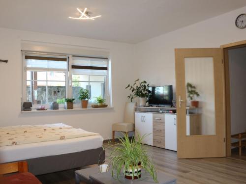 a room with a bed and a tv and some plants at Apartment Paula by Interhome in Neundorf