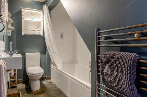 a bathroom with a toilet and a sink and a shower at 2 Bed in Aldeburgh oc-fsh in Aldeburgh