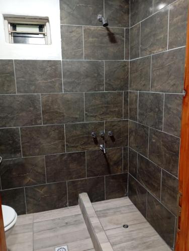 a bathroom with a shower with a toilet at Dpto Los Pinos in Fernández
