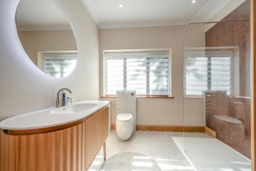 ein Badezimmer mit Waschbecken, Toilette und Spiegel in der Unterkunft 2 Bed in Llanybydder oc-b32255 in Cwrt-newydd