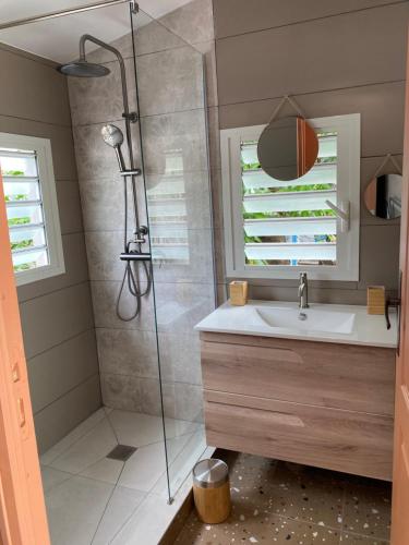 a bathroom with a shower and a sink at Maison dans le quartier de terre sainte Nicolas in Saint-Pierre