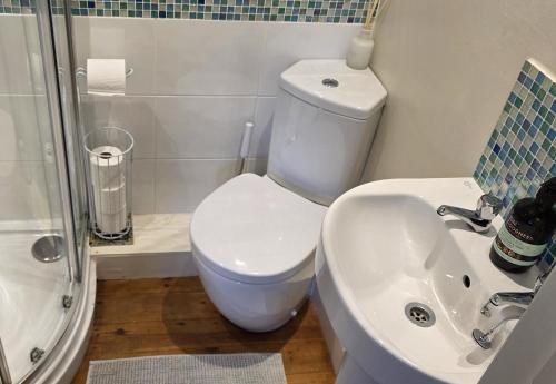a bathroom with a toilet and a sink and a shower at Cosy room, en-suite with kitchenette in St. Davids