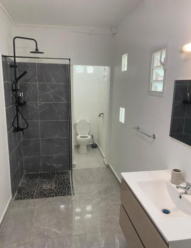 a bathroom with a shower and a toilet and a sink at Le Temps d une Escale in Trois-Rivières