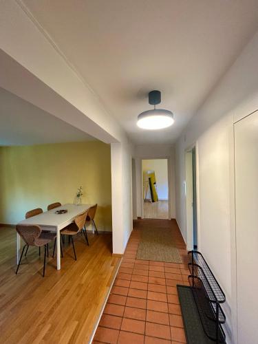 Cozy Apartment on Brahmstrasse in Zürich