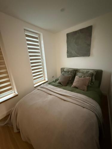 a bedroom with a large bed with two windows at Modern apartment, free parking within walking distance of Churchill Hospital in Oxford