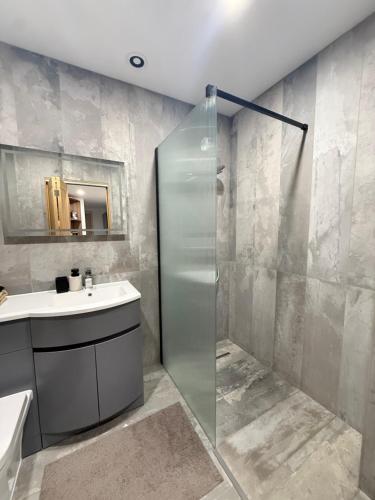 a bathroom with a glass shower and a sink at Modern apartment, free parking within walking distance of Churchill Hospital in Oxford