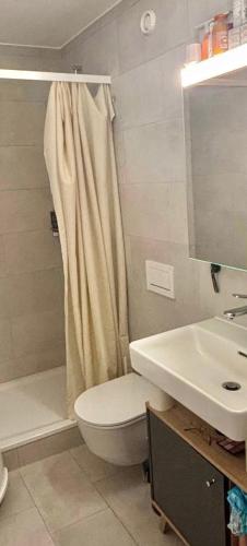 a bathroom with a toilet and a shower and a sink at Fribourg Home in Fribourg