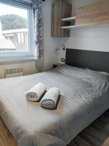 Mobil home 3 chambres Accès direct plage 4 Etoiles