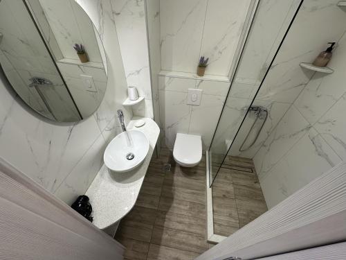 a bathroom with a toilet and a sink and a mirror at Filoxenia Studios 1 in Palaiochora