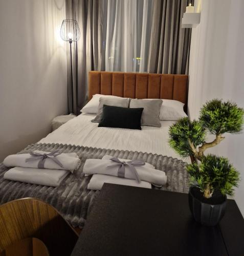 Apartament 37 - with free parking