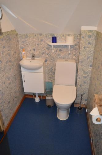 a bathroom with a toilet and a sink at Bodasjön II in Boda Glasbruk