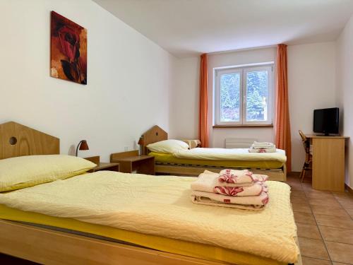 a room with two beds and a window at Perla Valsole Hotel Ristorante in Acquarossa