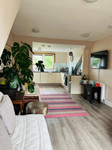 a living room with a couch and a kitchen at “A Wee Pad in Dunfermline” in Dunfermline