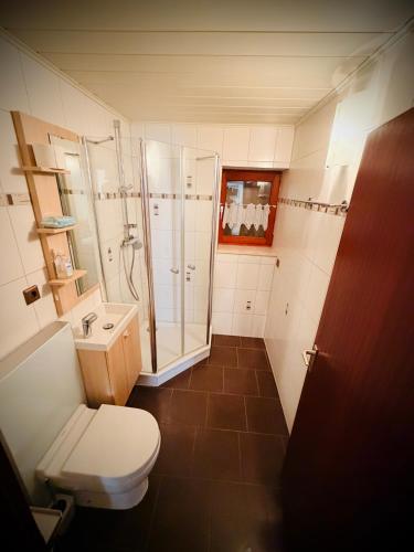 a bathroom with a toilet and a shower at Familie-Ising aus de in Unterwörnitz