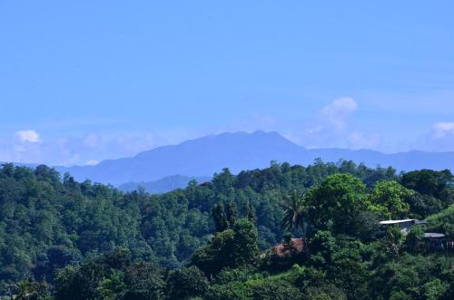 a view of a forest with mountains in the background at Kandyan White Holiday Homes in Kandy