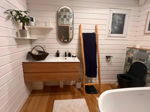 a bathroom with a sink and a mirror at Entre bassin & océan in Lège-Cap-Ferret