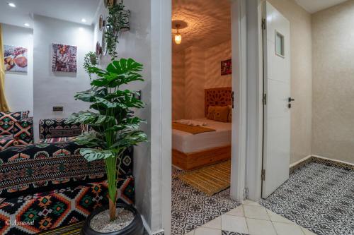 a room with a plant and a bedroom with a bed at Dar jawhara in Chefchaouen