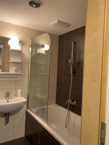 a bathroom with a shower and a tub and a sink at VR Spa Apartman in Velence
