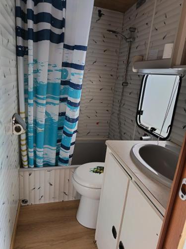 a bathroom with a toilet and a sink at Mobil home inter in Berck-sur-Mer