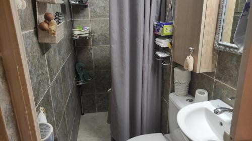 a bathroom with a shower curtain and a toilet and a sink at Studio Giannis, a breath away from Athens! in Neméa