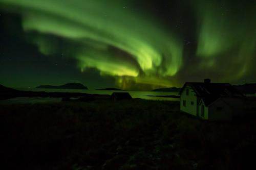 an aurora in the sky over a house and a building at Vannøy Sport og Havfiske in Vannvåg