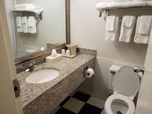 a bathroom with a sink and a toilet and a mirror at Comfort Inn Sandusky in Sandusky