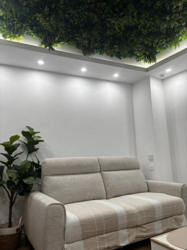 a living room with a couch and a plant at Appart'Hôtel 23 Le Cocon Creusois Studio in Guéret