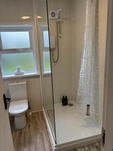 a bathroom with a toilet and a glass shower at StoneHaven Townhouse in Donegal