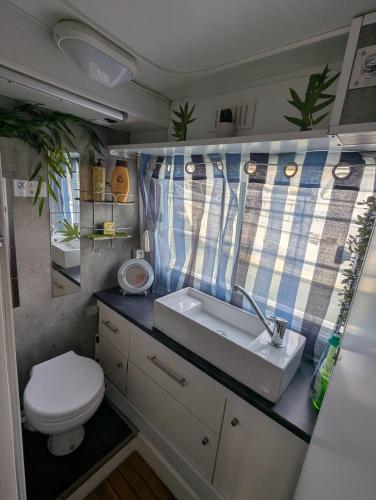 a bathroom with a sink and a toilet in an rv at Péniche Logement privé 2 chambres in Montech