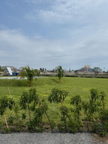 a field of grass with palm trees in the foreground at Club Positano Fundo Dell'Angelo in Mala