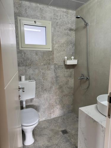 a bathroom with a toilet and a sink and a shower at צימר בטבע in Majdal Shams