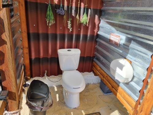 a bathroom with a toilet and a trash can at DM El Refugio SG Af3 in Pinal de Amoles