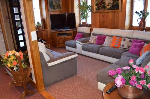 uma sala de estar com dois sofás e uma televisão em Les Touristes em Abondance