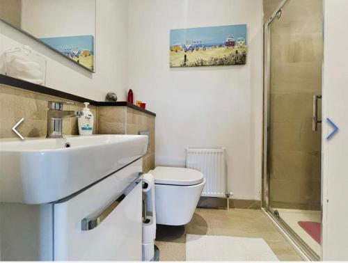 a bathroom with a sink and a toilet and a shower at Manor Brook House in Adare