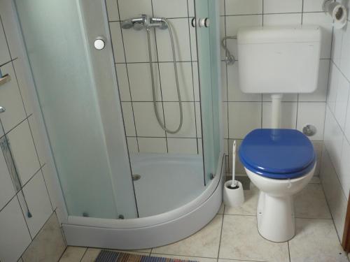 a bathroom with a blue toilet and a shower at House Dragica in Cres
