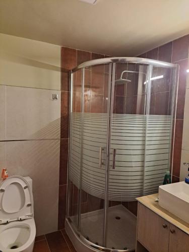 un bagno con doccia, WC e lavandino di Olimpo a La Paz